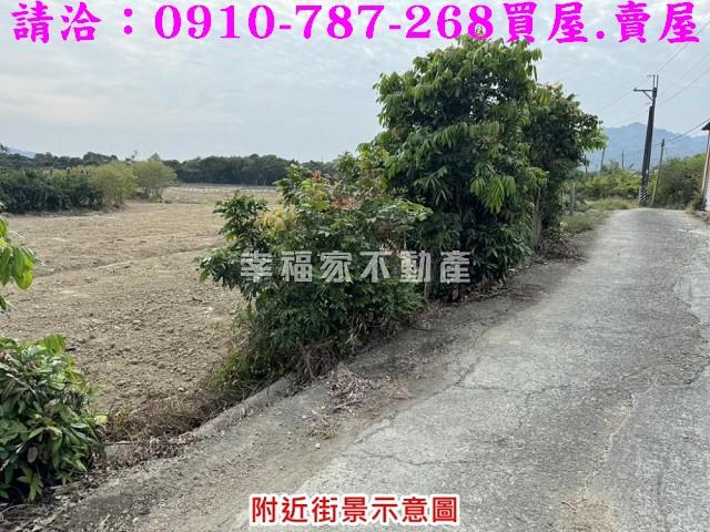 台南楠西農地-10