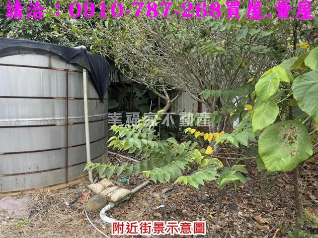 台南楠西農地-8