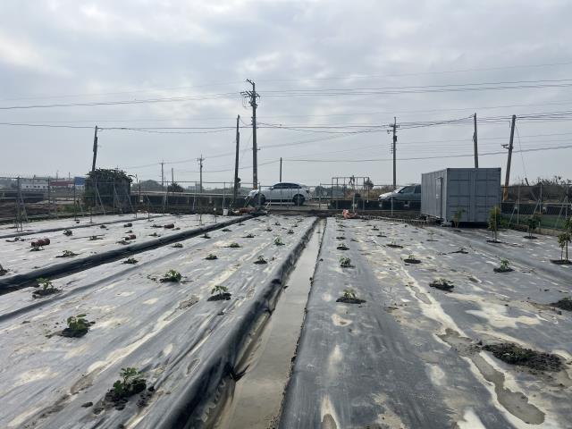 彰化溪湖埔鹽埤頭二林秀水福興建地工業用地田地農地店面透天別墅