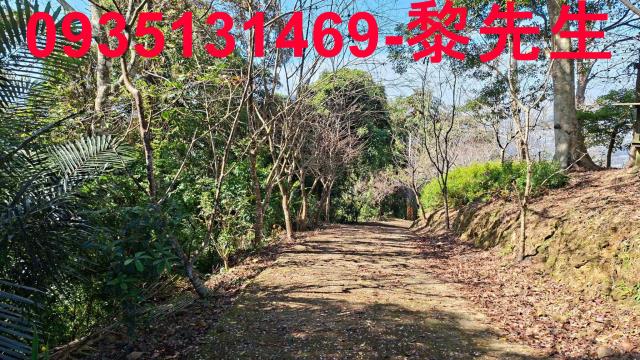 新竹縣橫山鄉萬瑞森林樂園旁農林地春明地產