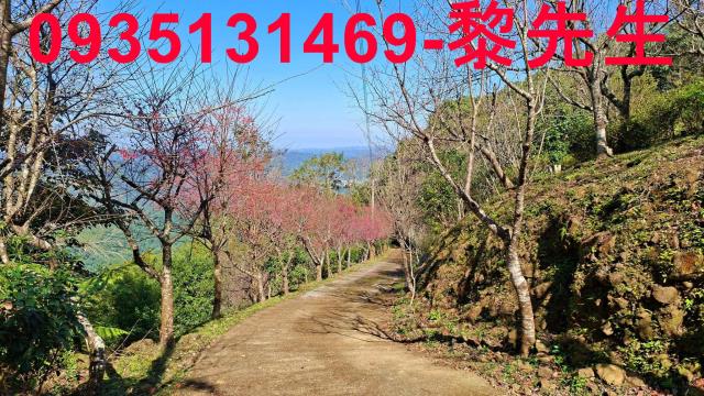 新竹縣市房地產湖口火車站