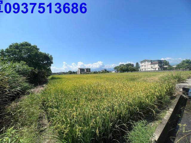 宜蘭縣壯圍鄉吉祥一段農地出售