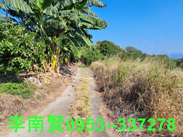 台南農地-2