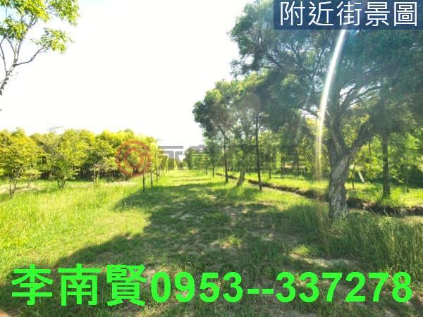 台南農地-2