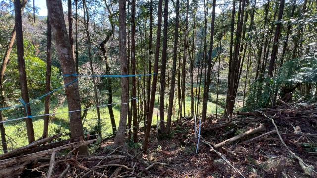 新竹竹東農地-14