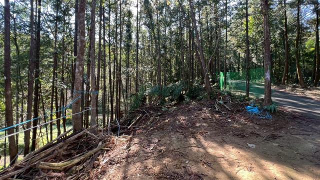 新竹竹東農地-13