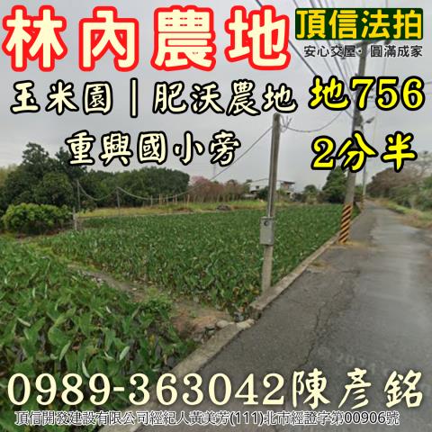 雲林林內法拍農地-1