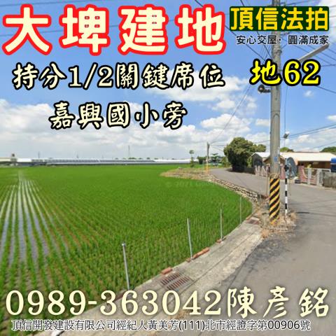 雲林大埤法拍建地-0