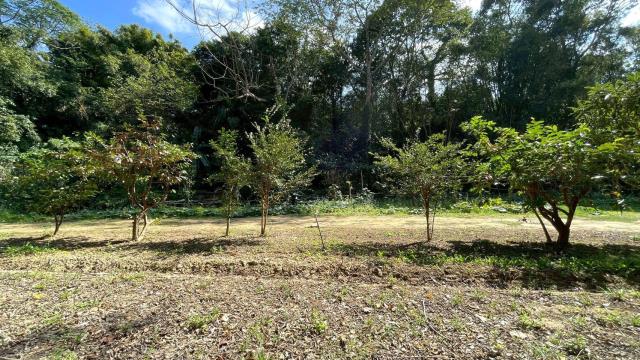 新竹峨眉農地-13