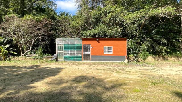 峨眉水流東平坦橘子園農地