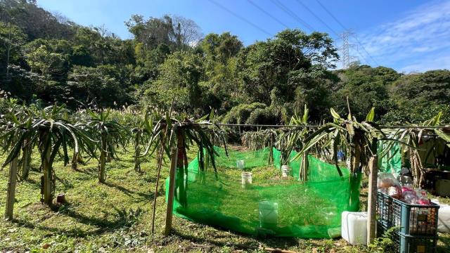 新竹峨眉農地-1