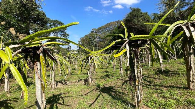 新竹峨眉農地-3