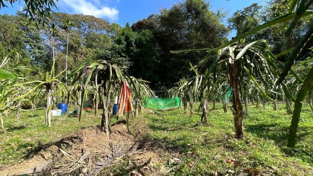 新竹峨眉農地-4