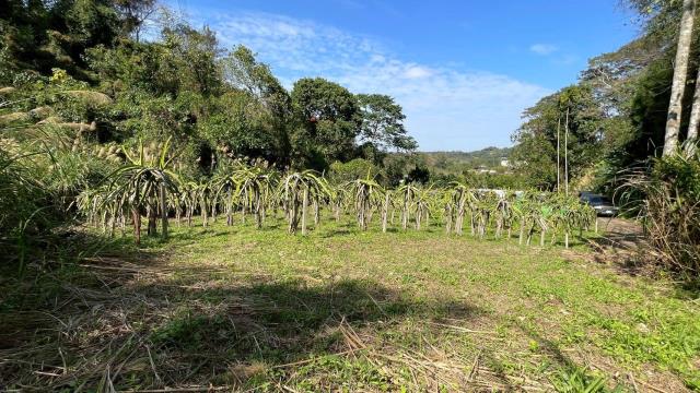 新竹峨眉農地-6