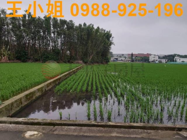 桃園楊梅農地-3