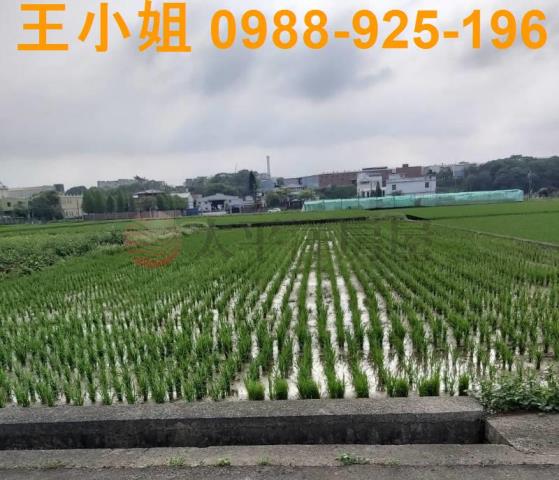 桃園楊梅農地-4