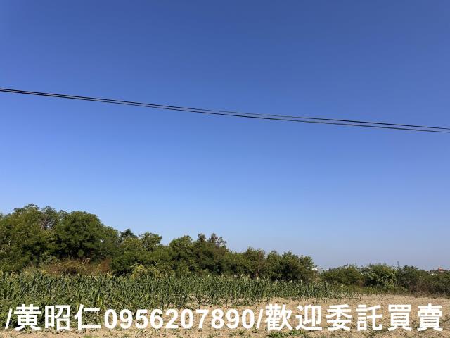 台南安南農地-1