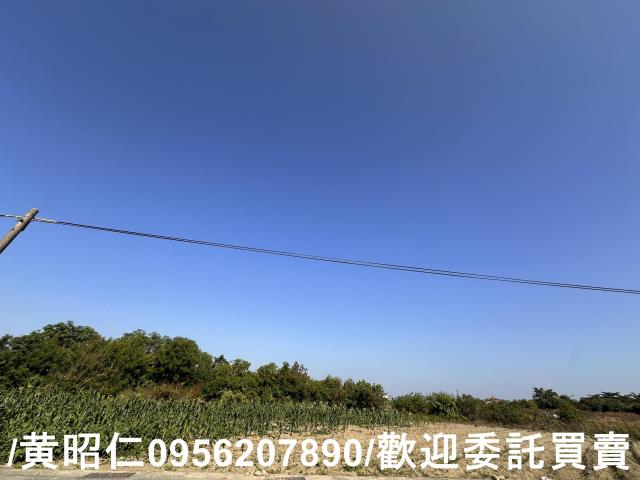 台南安南農地-2