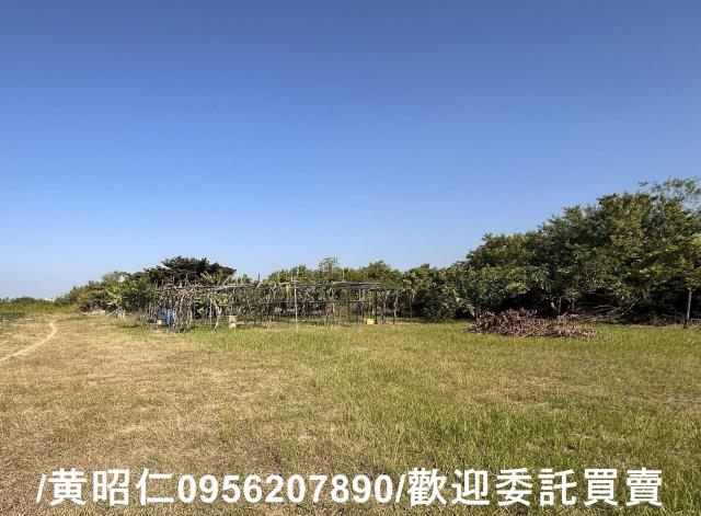 台南安南農地-3