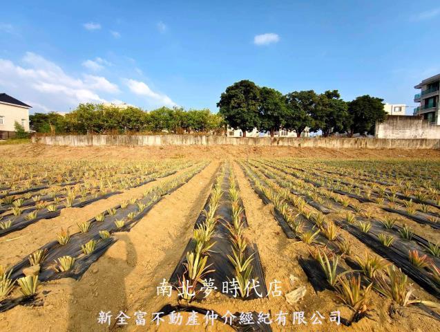 台南關廟農地-0