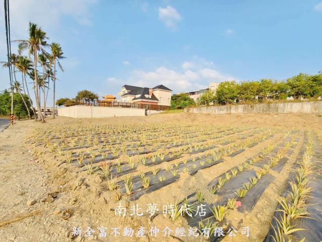 台南關廟農地-2