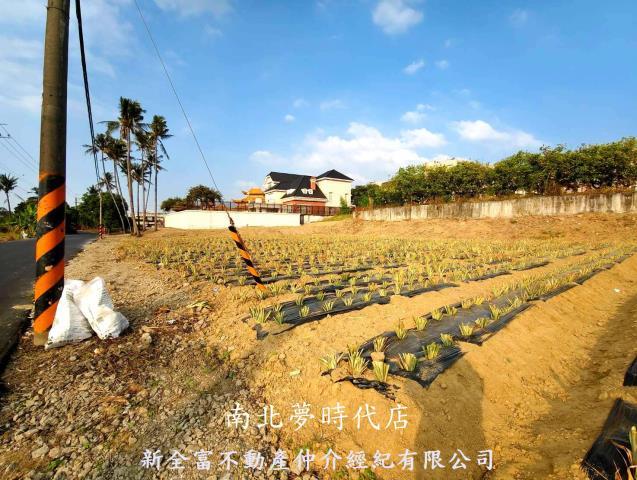 台南關廟農地-4
