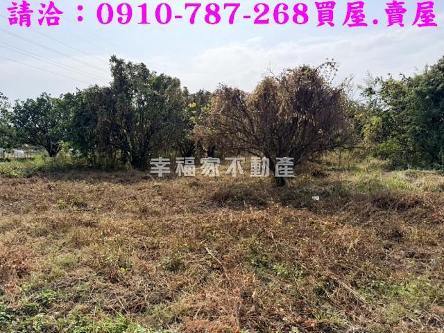 台南麻豆工業地-5