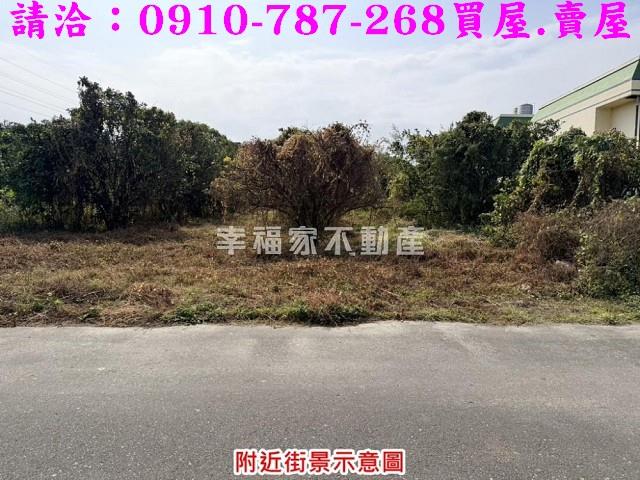 台南麻豆工業地-7