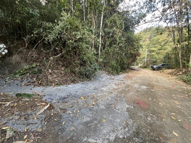 南投鹿谷山坡地-7