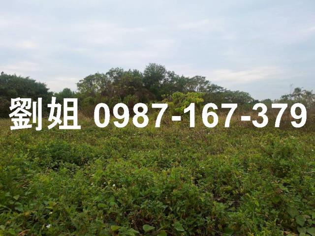 高雄永安農地-0