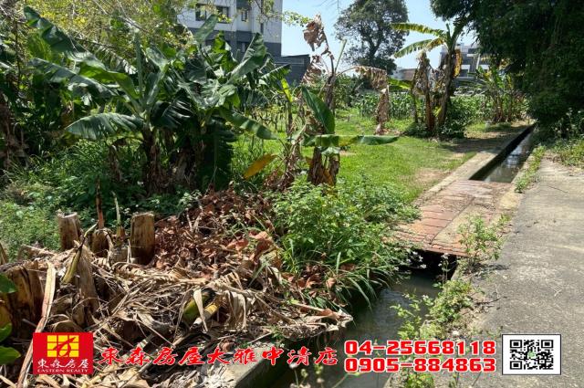 大雅中科212坪廠房