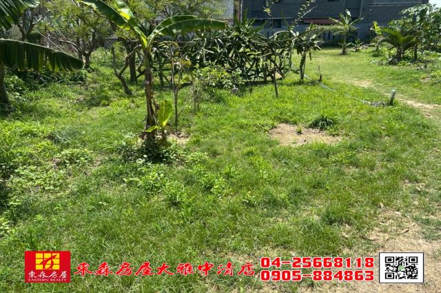 台中大雅農地-2