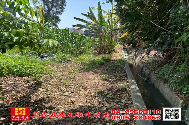 台中大雅農地-4