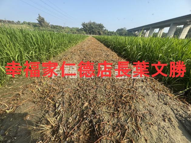官田農地-10