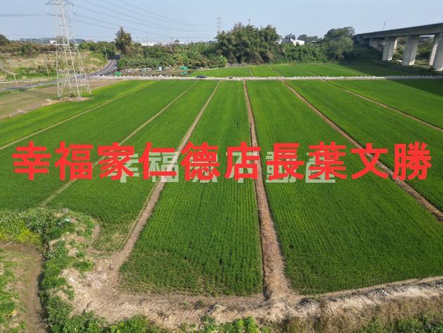 官田農地-14