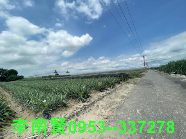 台南農地-8