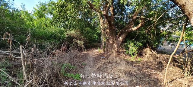 台南農地-3