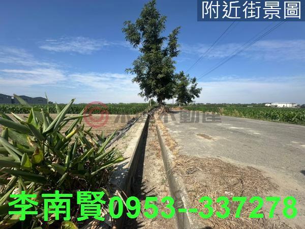 台南安定農地-11