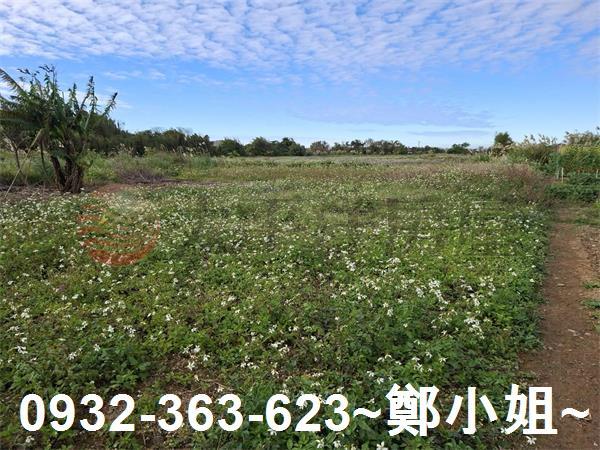 桃園大溪農地-8