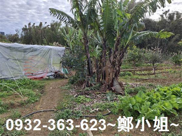 桃園大溪農地-9