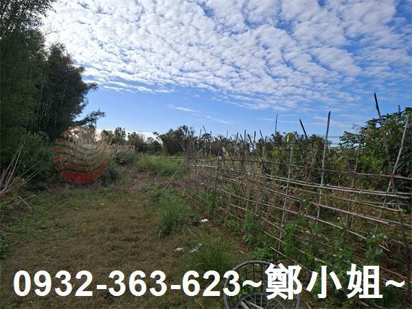 桃園大溪農地-2