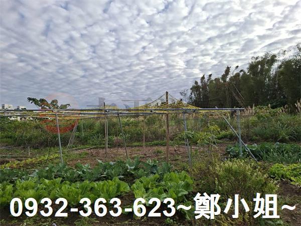 桃園大溪農地-3