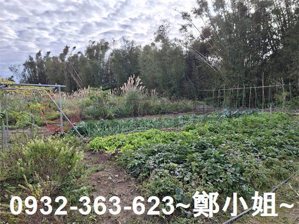 桃園大溪農地-4