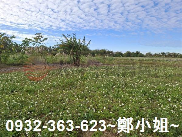 桃園大溪農地-7