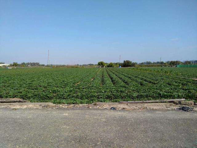 台南新化農地-0