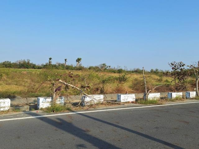 台南學甲農地-6