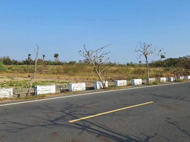 台南學甲農地-8