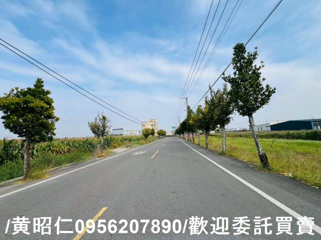 台南安定農地-11