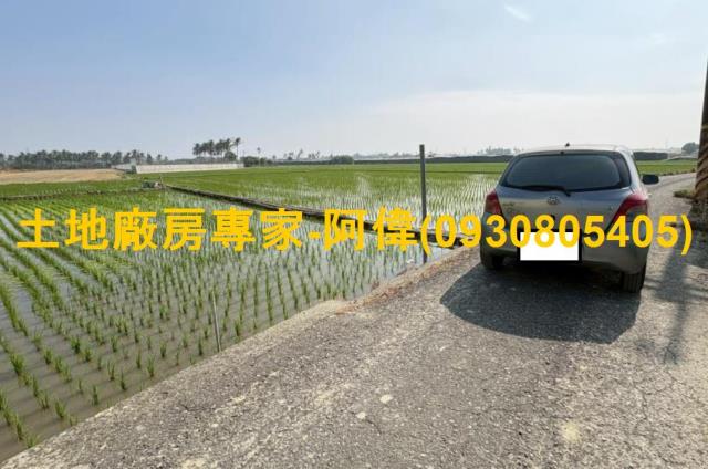 路竹農地-0