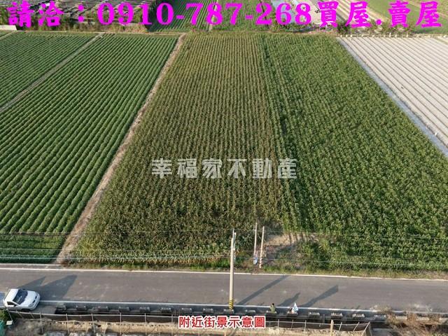 柳營農地-9